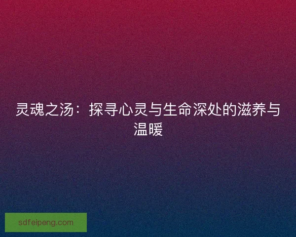 灵魂之汤：探寻心灵与生命深处的滋养与温暖