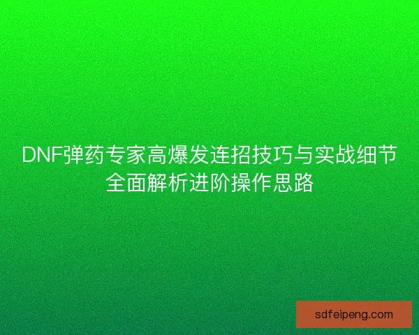 DNF弹药专家高爆发连招技巧与实战细节全面解析进阶操作思路