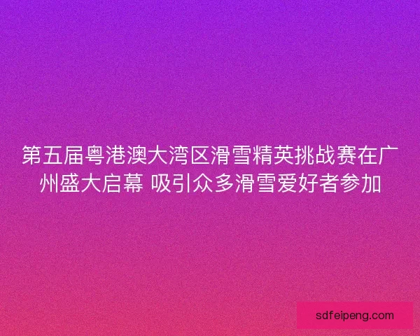 第五届粤港澳大湾区滑雪精英挑战赛在广州盛大启幕 吸引众多滑雪爱好者参加
