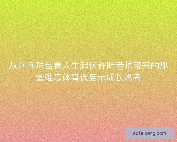 从乒乓球台看人生起伏许昕老师带来的那堂难忘体育课启示成长思考