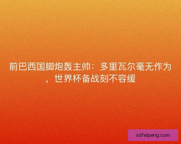 前巴西国脚炮轰主帅：多里瓦尔毫无作为，世界杯备战刻不容缓
