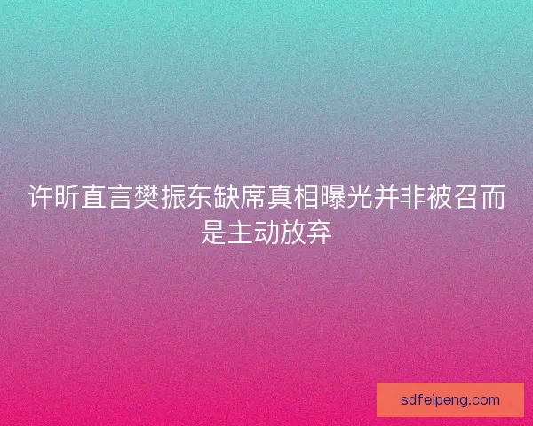 许昕直言樊振东缺席真相曝光并非被召而是主动放弃