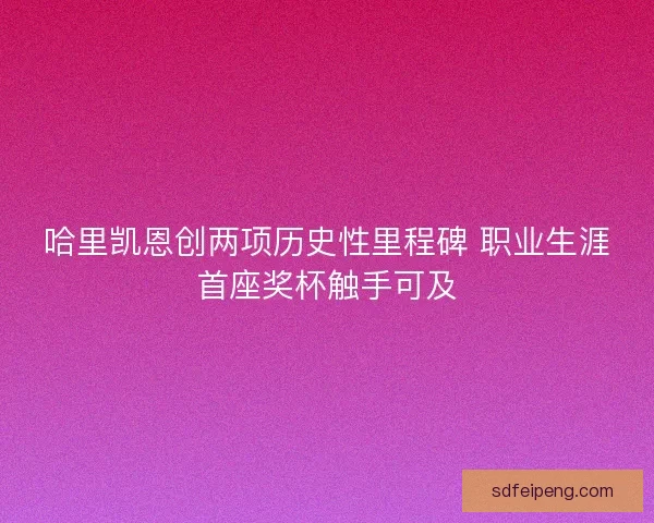 哈里凯恩创两项历史性里程碑 职业生涯首座奖杯触手可及 哈里凯恩创两项历史性里程碑 职业生涯首座奖杯触手可及