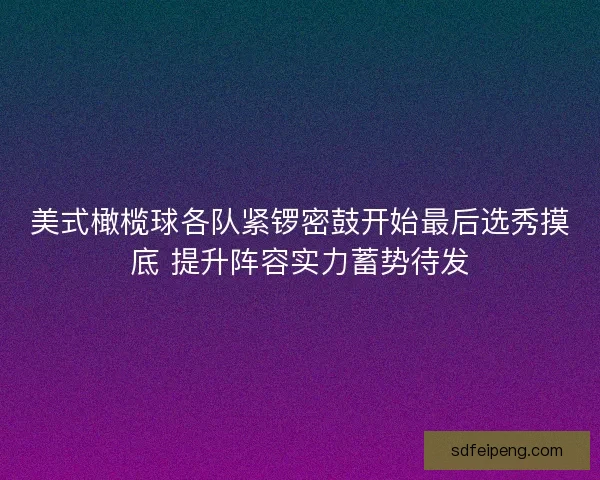 美式橄榄球各队紧锣密鼓开始最后选秀摸底 提升阵容实力蓄势待发 美式橄榄球各队紧锣密鼓开始最后选秀摸底 提升阵容实力蓄势待发