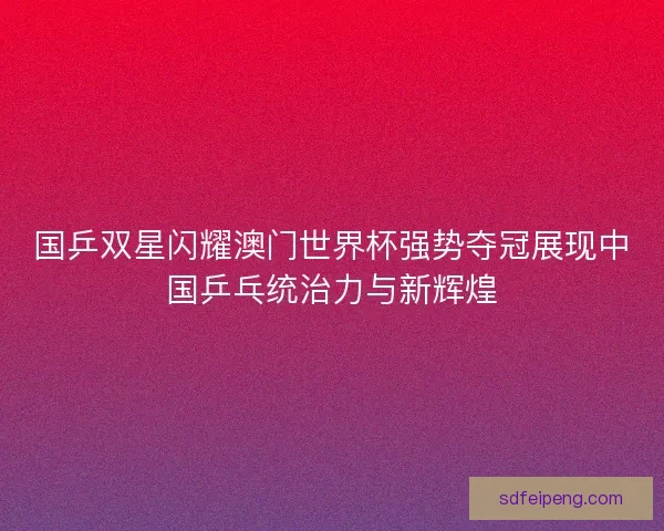 国乒双星闪耀澳门世界杯强势夺冠展现中国乒乓统治力与新辉煌